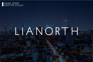Lianorth: A Font for Business Style